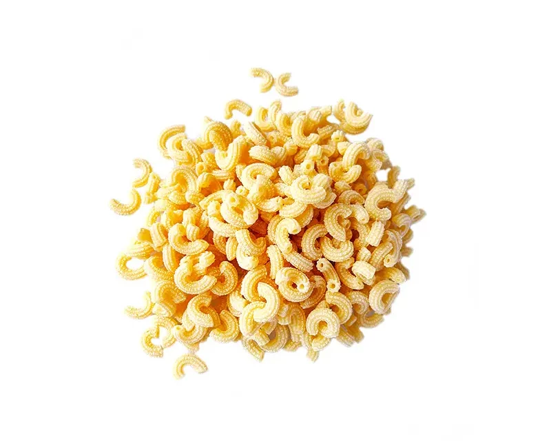 coquillettes- l'atelier ravello